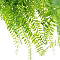 uploads/erp/collection/images/Home Garden/CongDing/XU0611625/img_b/XU0611625_img_b_5